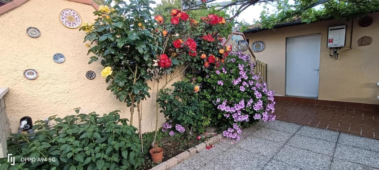 Appartement Casa In Giardino
