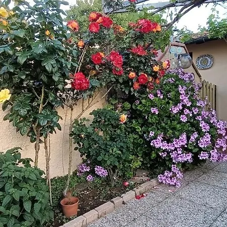Ferienwohnung Casa In Giardino Piombino Exterior foto