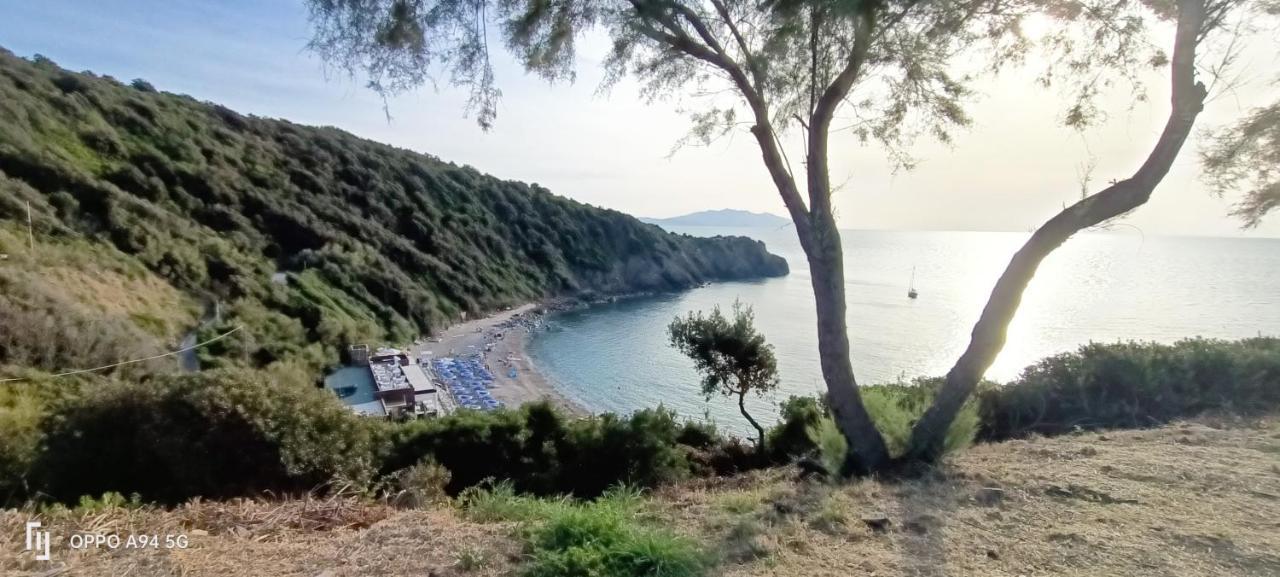 Casa In Giardino