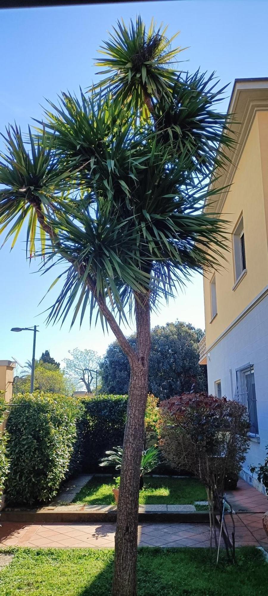 Casa In Giardino